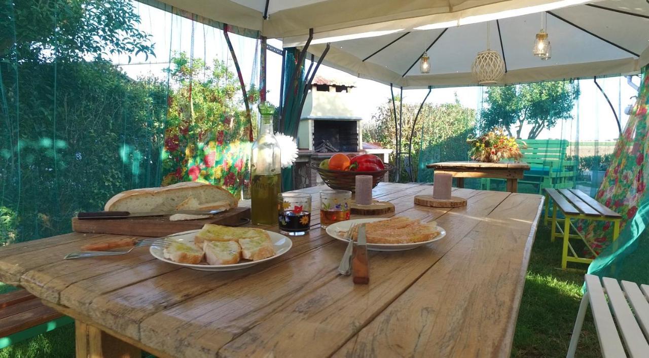 Agriturismo Il Cuscino Nel Pagliaio Campiglia Marittima Exterior foto